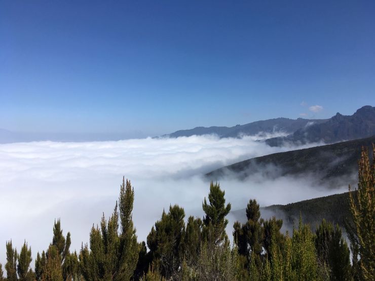 Boven de wolken, Kilimanjaro