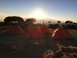 Shira camp op de Kilimanjaro