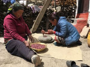 trekking nepal lunch