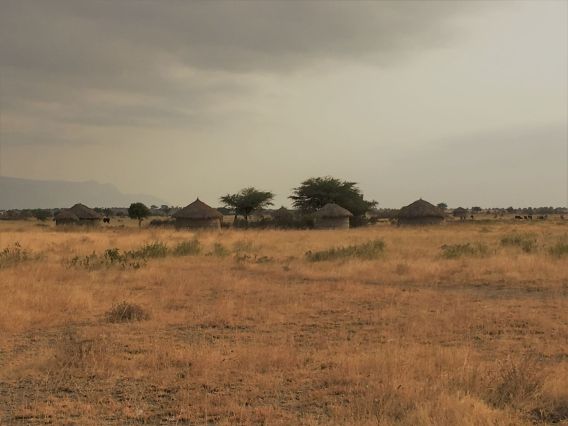 maasai boma in tanzania
