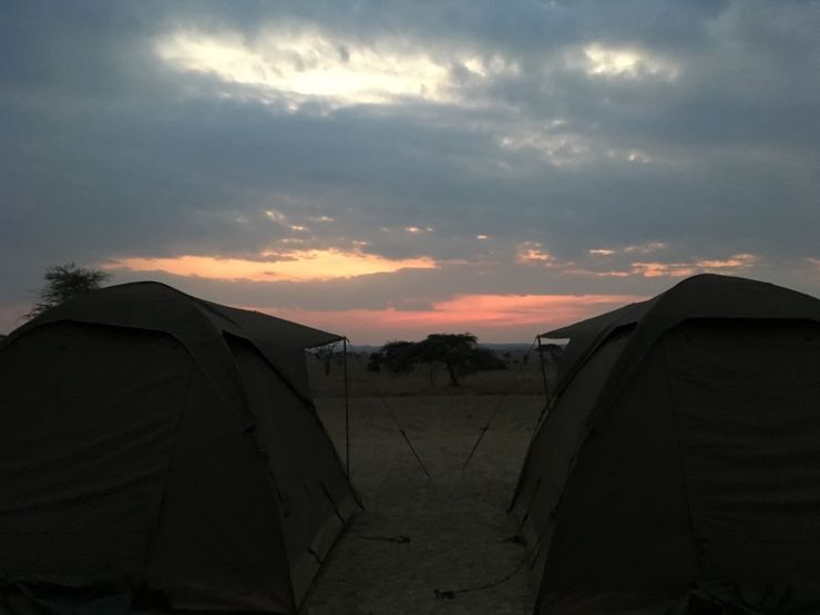 tentjes camping serengeti