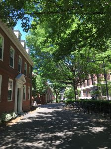Harvard yard Boston